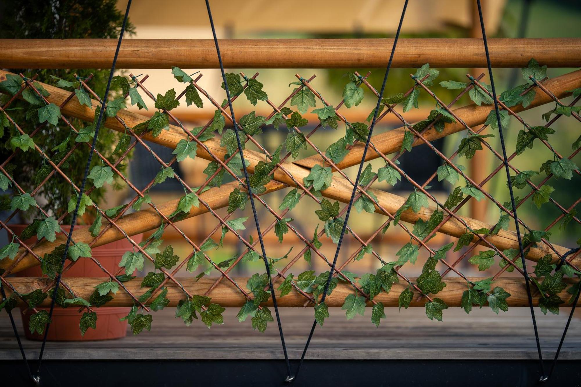 Glamping Pod Gwiazdami Pietrusza Wola Hotel Buitenkant foto