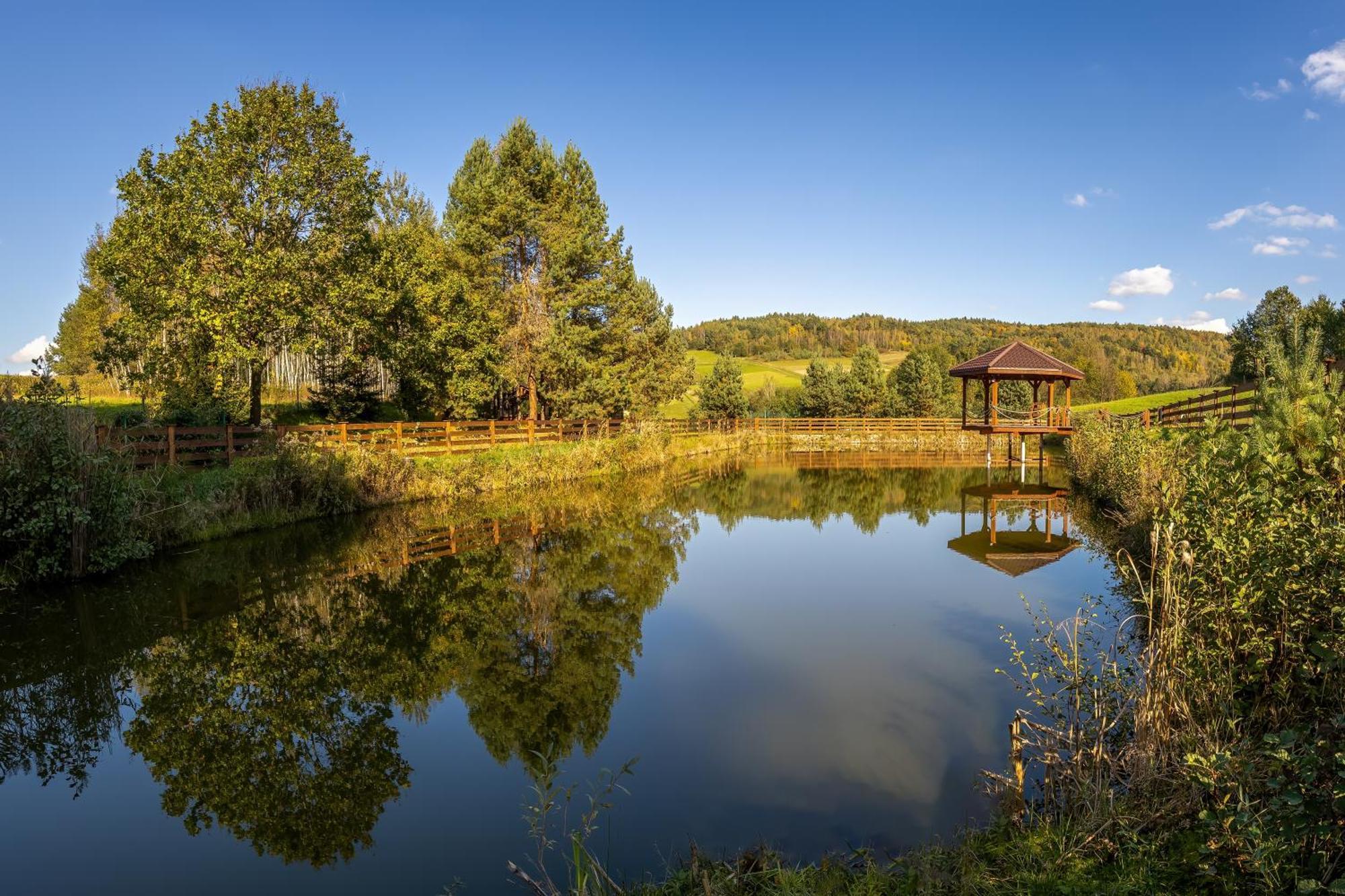 Glamping Pod Gwiazdami Pietrusza Wola Hotel Buitenkant foto