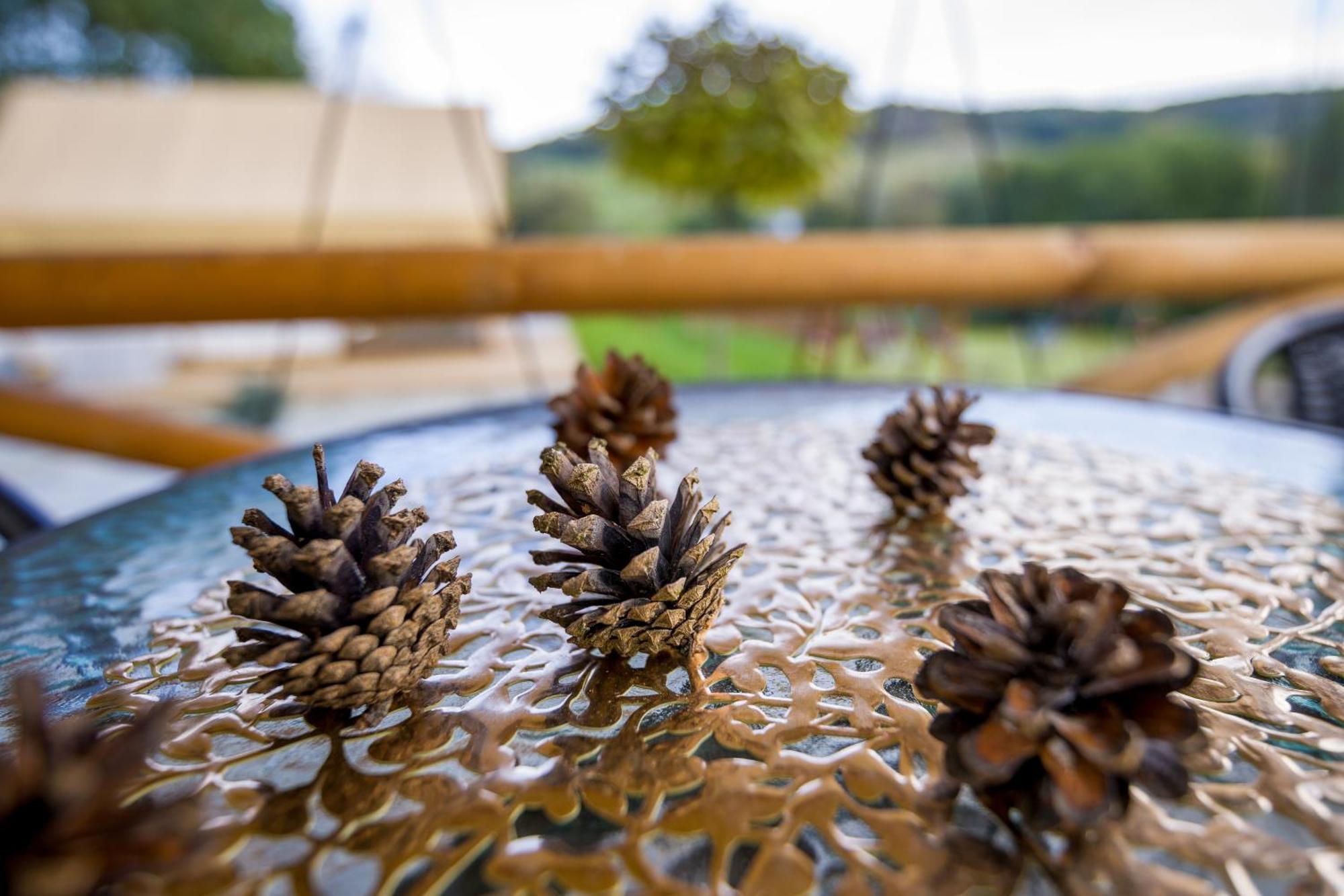 Glamping Pod Gwiazdami Pietrusza Wola Hotel Buitenkant foto