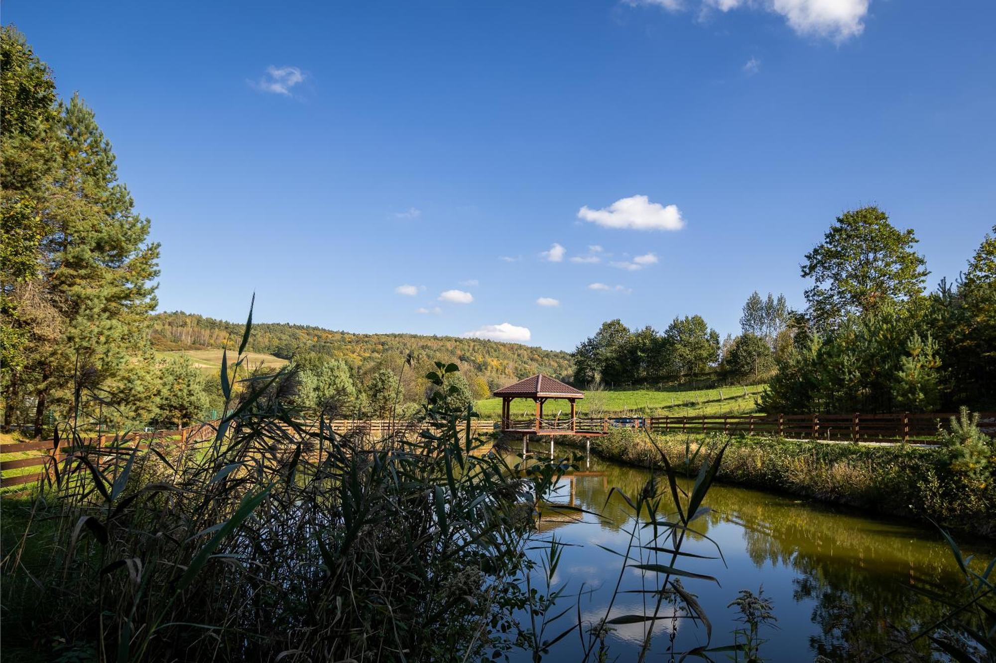 Glamping Pod Gwiazdami Pietrusza Wola Hotel Buitenkant foto